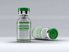 Phát triển thành công thuốc có thể chữa khỏi HIV/AIDS ?