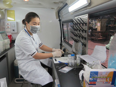 Nhà hàng Bia Hải Xồm bán rau cải dương tính với thuốc trừ sâu