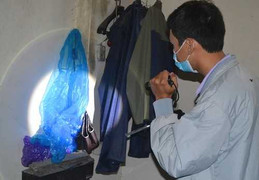 Hà Nội tìm bắt muỗi nhiễm virus Zika