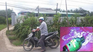 3 mẹ con uống thuốc diệt cỏ tự tử nghi do vỡ hụi