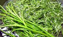 Bắt quả tang lò nhuộm màu rau muống bào