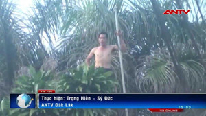 Clip công an khống chế 'ngáo đá' cầm dao, gậy sắt nhảy qua nhảy lại trên mái nhà