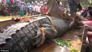 Video: Phát hiện cá sấu 'quái vật' nặng 1 tấn ở Sri Lanka