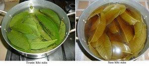 'Thần dược' trị tiểu đường rất ít người biết