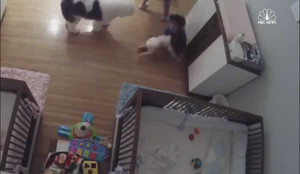 Video: Bé 9 tuổi nhanh tay cứu em trai đang rơi tự do