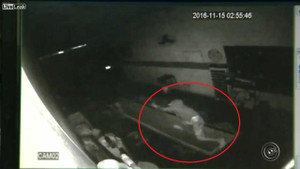 Clip: Trộm đột nhập vào gara ôtô lúc nửa đêm, ngã vào máng dầu thải thảm hại