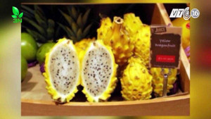 Trái cây xách tay ở Việt Nam: Đắt 'cắt cổ' nhưng có an toàn?