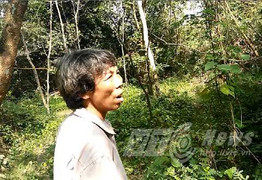 Chuyện lạ về hai người phụ nữ không chịu lấy chồng, sống cảnh 'người rừng' ở Vĩnh Phúc