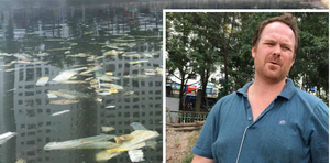 Ông Tây bức xúc khi thấy bao cao su ngập hồ Linh Đàm