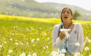 8.500 người nhập viện vì 'bão hen suyễn'