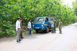 Vác mã tấu lên đèo Cù Mông cướp 5 xe tải