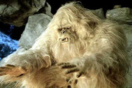 Vén màn bí ẩn hơn một thế kỉ về người Tuyết