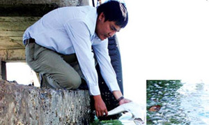 Cá chết nổi trắng ở biển Khánh Hoà, bốc mùi hôi thối