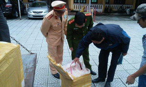 Tóm gọn xe tải chở hơn 1 tấn nội tạng bẩn trên đường đi tiêu thụ