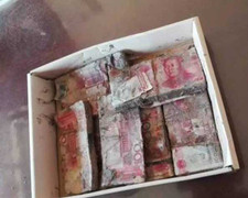 Chôn 250 triệu tiết kiệm xuống đất, người đàn ông 'méo mặt' khi đào lên