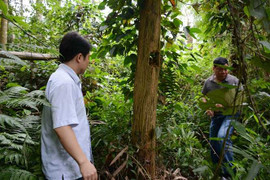 Miền đất lạ và những bí ẩn không ai giải thích nổi