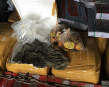 Kinh hoàng phát hiện 1,5 tấn nội tạng thối rữa giấu trong đống gạch