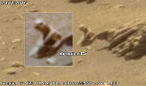 Phát hiện loài 'bò sát' có sừng bí ẩn trên bề mặt sao Hỏa