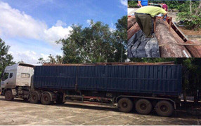 Phát hiện xe tải chở lậu gỗ quý ngang nhiên đi trên quốc lộ