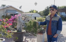 Choáng với biệt thự nhà vườn rộng 2.000 m2 của Bằng Kiều ở Mỹ