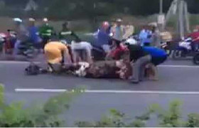 Clip: Trâu bị ôtô đâm chết giữa đường, dân đổ xô vác dao ra 'hôi thịt'