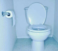 Hóa ra chúng ta đang sai lầm nghiêm trọng khi dùng xí bệt hiện đại