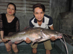 Câu được cá lăng đuôi đỏ gần 45kg trên sông Sêrêpốk