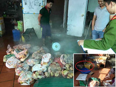 Hà Nội: Tiêu hủy gần 1 tấn nội tạng động vật mốc xanh