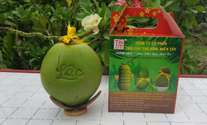 Nông dân miền Tây kiếm bạc tỷ nhờ 'tạo dáng lạ, đóng dấu độc' cho quả dừa
