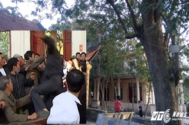 Ly kỳ chuyện cây sưa gần 50 tỷ đồng khiến dân làng 'đổ máu' ở Bắc Ninh