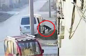 Clip: 'Cẩu tặc' đi ôtô, quăng dây thừng bắt chó trong 6 giây