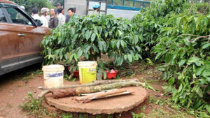 Mẹ và con rơi xuống giếng chết thương tâm