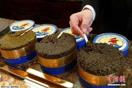 Bí mật nơi làm ra loại thực phẩm siêu đắt 55 triệu đồng/kg