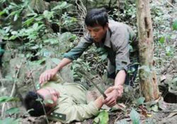 Lâm tặc liều lĩnh dùng gậy sắt đánh kiểm lâm trọng thương