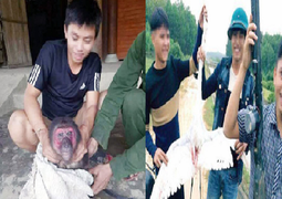 Xác định kẻ hả hê khoe 'chiến tích' săn bắt động vật hoang dã trên facebook