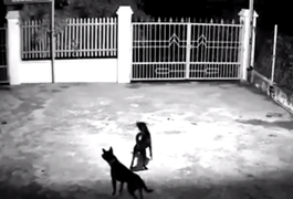 Clip: Chó hung tợn dọa 2 cẩu tặc 'co giò' chạy trối chết