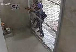 Clip: Trộm gặp phải ổ khóa 'cứng', đành 'bó tay' rút lui