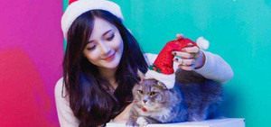 Hot girl Hà thành chụp ảnh với mèo dễ thương đón Giáng sinh