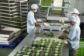 Uy tín của Vingroup sẽ tạo niềm tin cho nông sản sạch