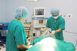 Những khả năng gây mê có thể gây chết người