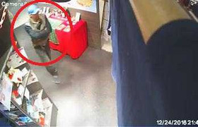 Clip: Thanh niên vào cửa hàng trộm laptop, nhét vào ngực