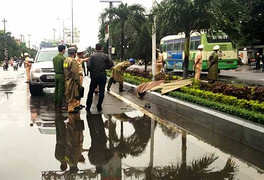 Phát hiện thi thể 2 thanh niên giữa bồn hoa trong ngày cuối năm