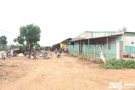 Sau 1 đêm, hàng trăm tấn cà phê 'bốc hơi' cùng chủ đại lý