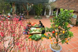 Bà Phạm Chi Lan: 'Gộp Tết ta vào Tết tây, con cháu ở nước ngoài cũng về sum họp'