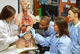 Hé lộ ngành học triển vọng nhất năm 2017 ở Mỹ