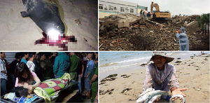 Những sự kiện gây ‘bão mạng’ trong tuần đầu tiên năm 2017