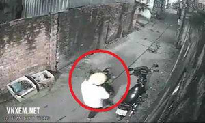 Clip: Đi xe máy bê trộm chậu mai trước cửa nhà dân lúc sáng sớm