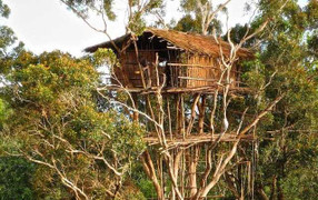 Kỳ dị bộ lạc duy nhất trên thế giới sống ở trên cây