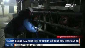 Bắt quả tang cơ sở bơm nước giếng vào bò trước khi giết mổ
