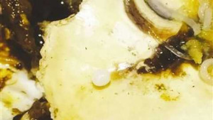 Đi dự tiệc ở nhà hàng, phát hiện ngọc trai thật khi đang ăn hàu